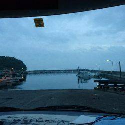 アジを求めて・・・