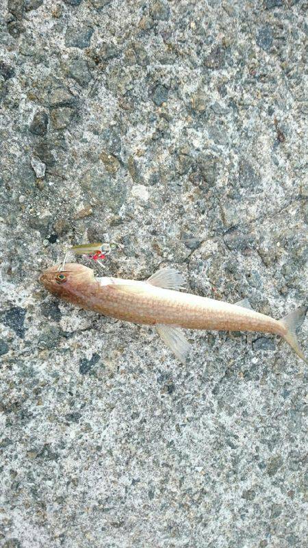 出てこい！俺の友達ESO