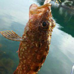 風が強かった下津周辺