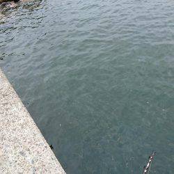 ブラクリで・・・