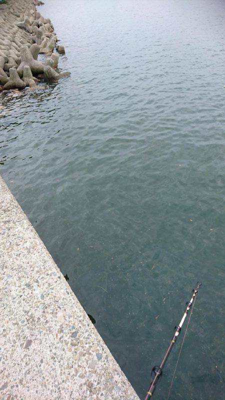 ブラクリで・・・