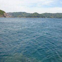 ジグでハマチ❗