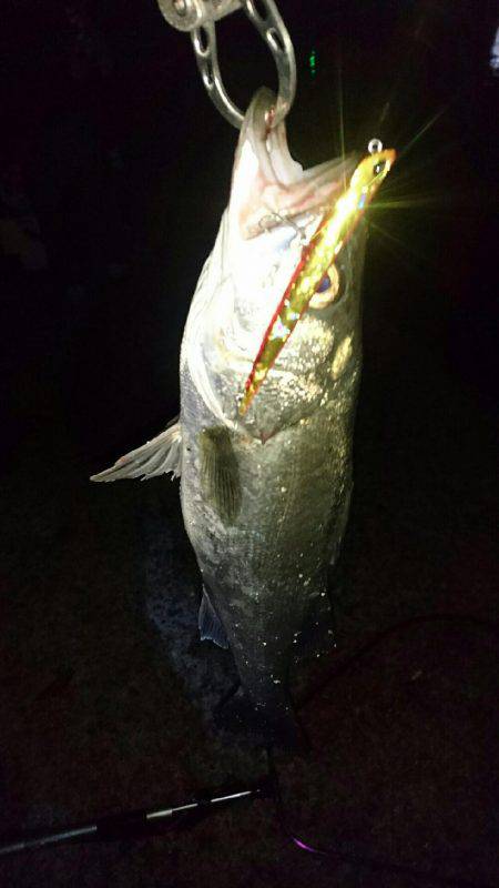 ちょっとサイズアップ