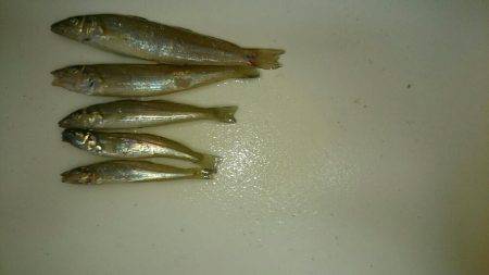 あっついでぃーぷきす