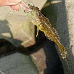 超ライトターゲット