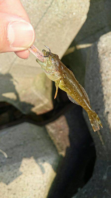 超ライトターゲット