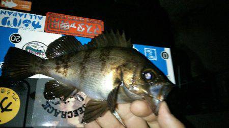 アジュール舞子で絶景を眺めながらのメバリン…