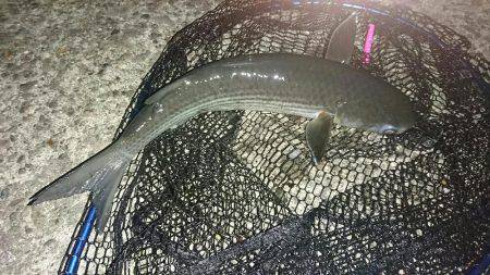 ボラれました…