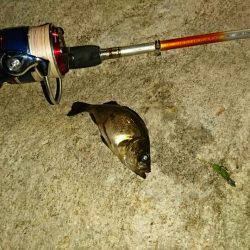 連休最終日に…