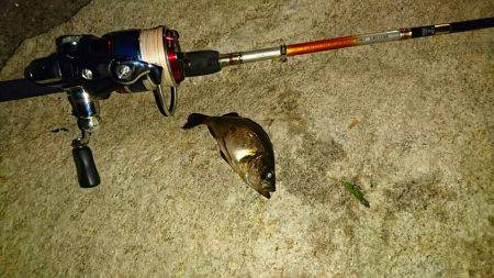 連休最終日に…