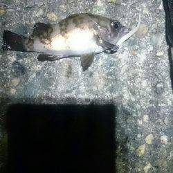 タイミングが？