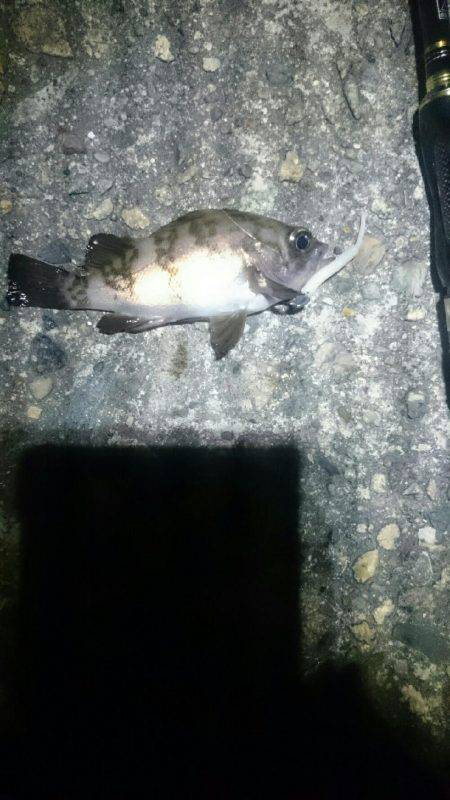 タイミングが？