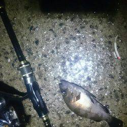 雨にもまけず。