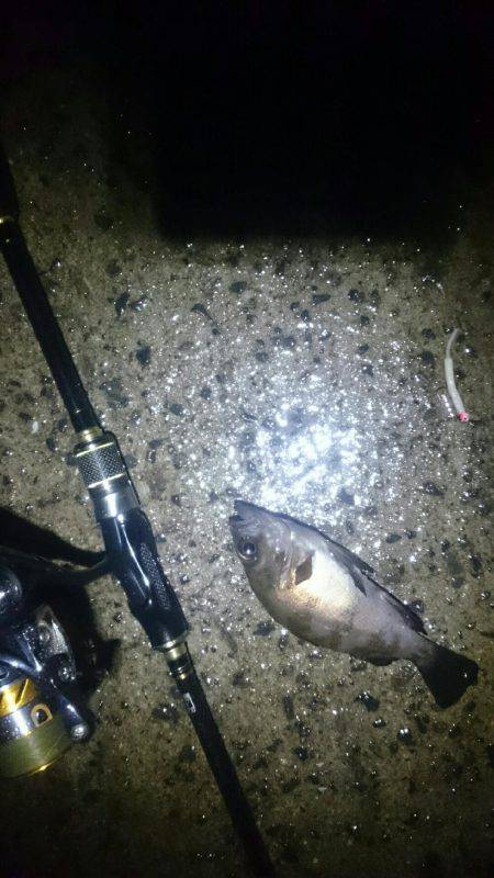 雨にもまけず。