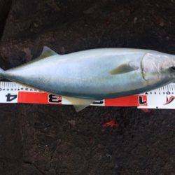 ラインブレイク後