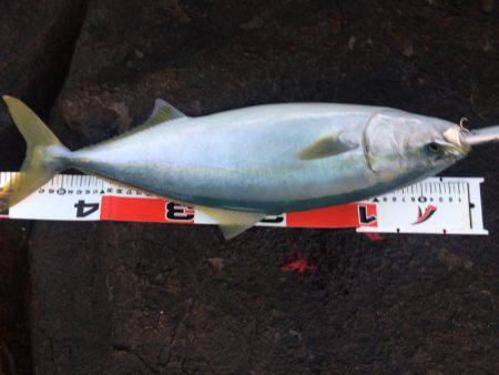 ラインブレイク後