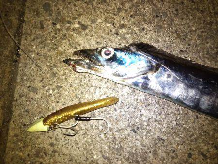 渋いなりにも何とか。。。