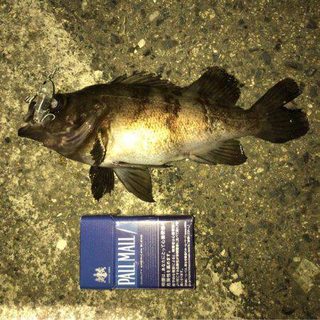 メバリング ツ抜け!