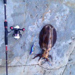 エギング遠征！