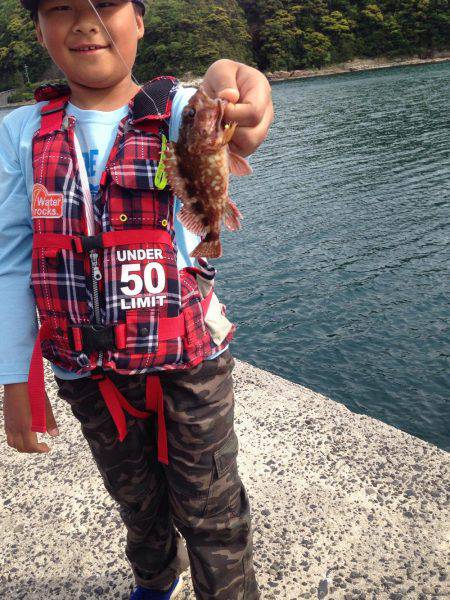 マッタリ家族フィッシング