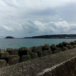 朝だけのちょい釣り