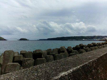 朝だけのちょい釣り