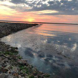 楽しいメバリング！