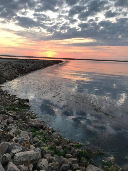 楽しいメバリング！