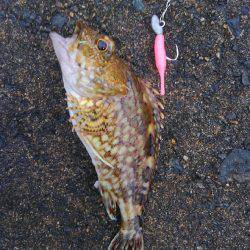 ミップル様周辺にて(笑)。