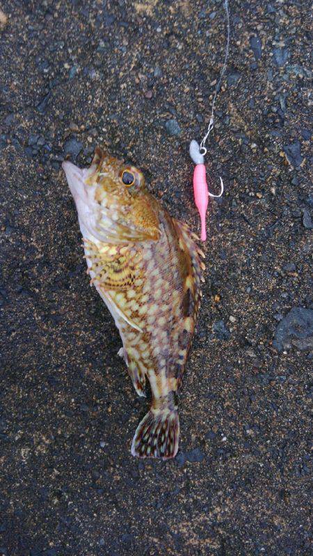 ミップル様周辺にて(笑)。