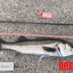 岸ジギ始まった