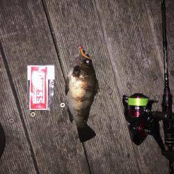 GWメバリング2日目!