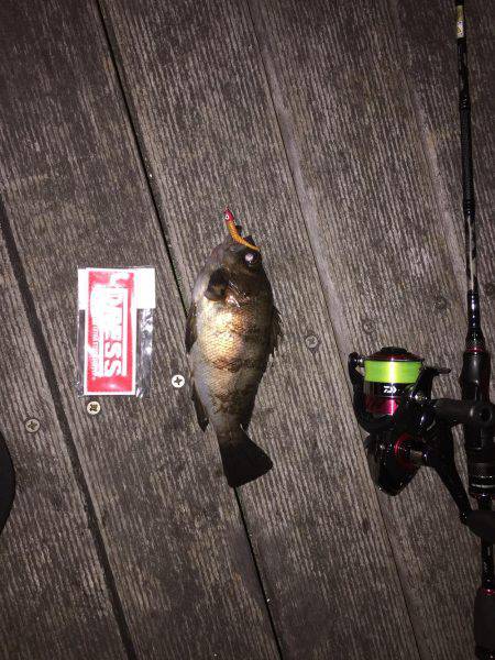 GWメバリング2日目!