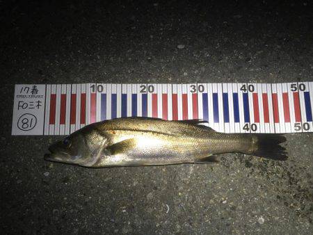 細いのに強いロッド！