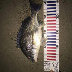 リバーチニング@国分川