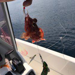 ジギング タイラバ ティップランのはずが・・・