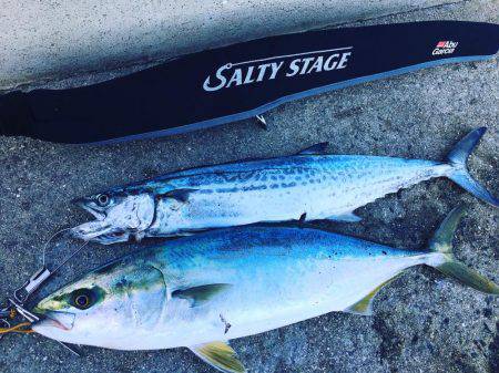 いつも通りのサイズ