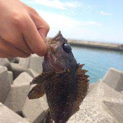 キャンプ 釣り