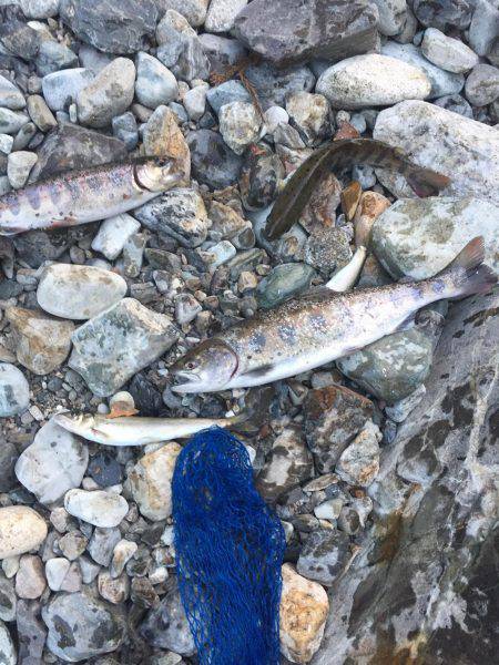 1日あけてまた行ってきた