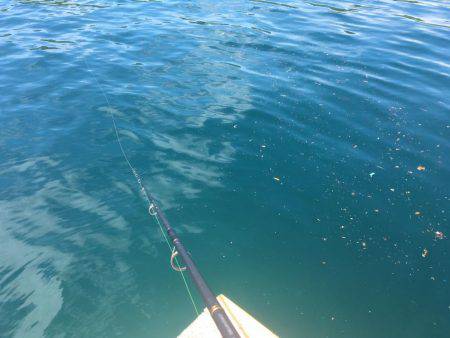 昨夜のリベンジ