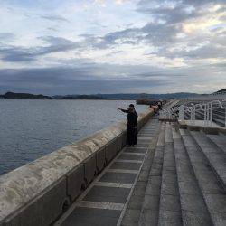 激渋、そしてエソ