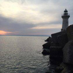 アジングチャレンジ