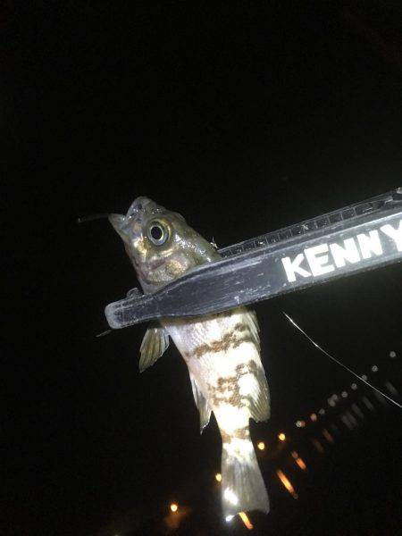 まさかの大物！！！