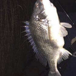 やっぱチニング