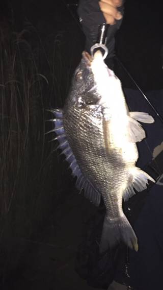 やっぱチニング