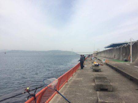 小さいけどやっと今期初の明石鯛!