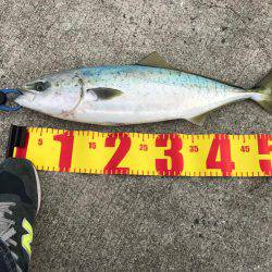 ルアーフィッシングで。。。