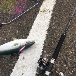 目の前長めのボイル