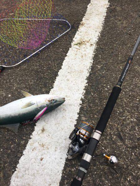 目の前長めのボイル