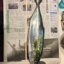 狙いどうり青物！！